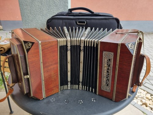 Ela echo bandoneon bandonion - echo,